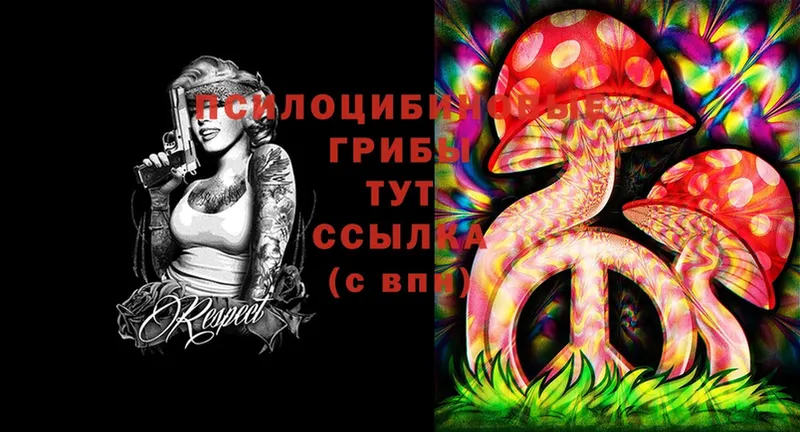 купить наркоту  Невельск  Галлюциногенные грибы Cubensis 